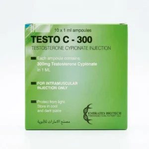 TESTO C - 300